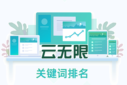 专业seo网站优化